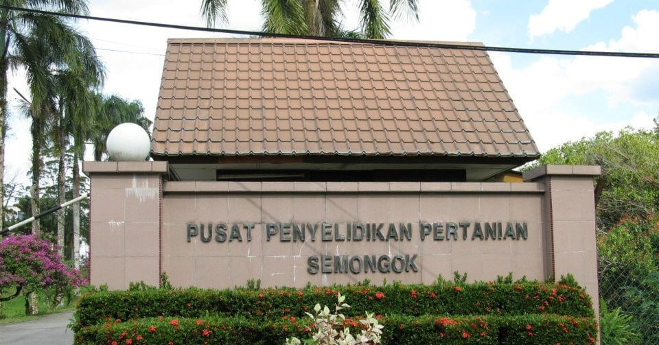 Arc Semenggok Pusat Penyelidikan Pertanian Unggul Di Sarawak Rakan Sarawak